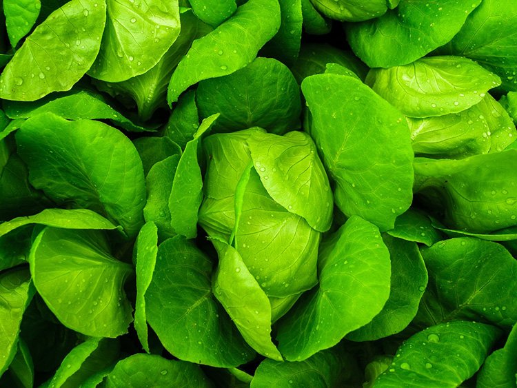 Leafy Green Vegetables