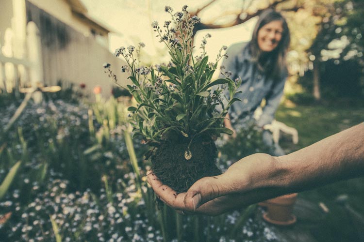 Grandma and Gardening