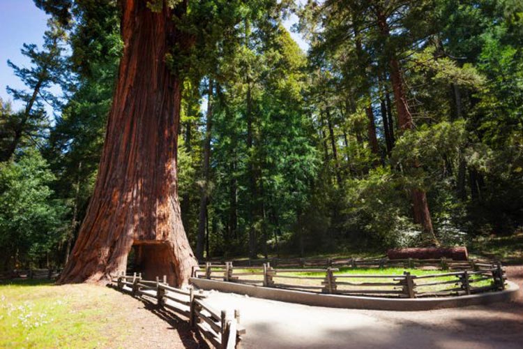 Which States Have Senior Discounts For State Parks