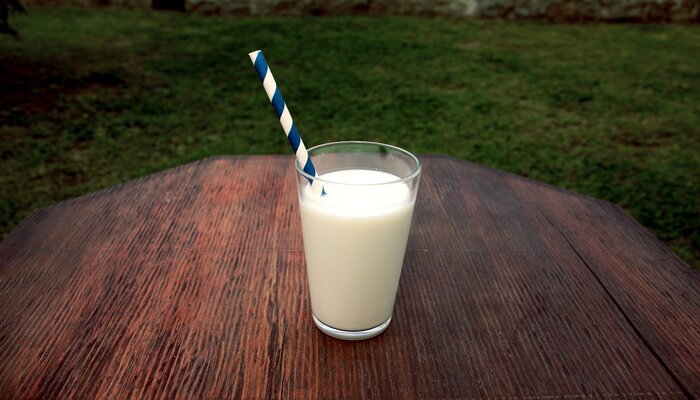 How Much Milk Should Seniors Drink A Day