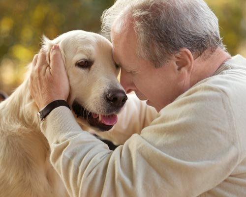 Animal Therapy for Seniors