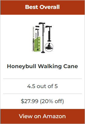Honeybull Walking Cane