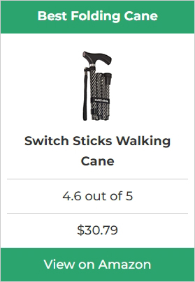 Switch Sticks Walking Cane