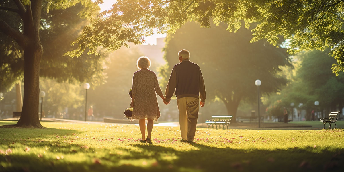 WellCare Maine: Everything You Need to Know