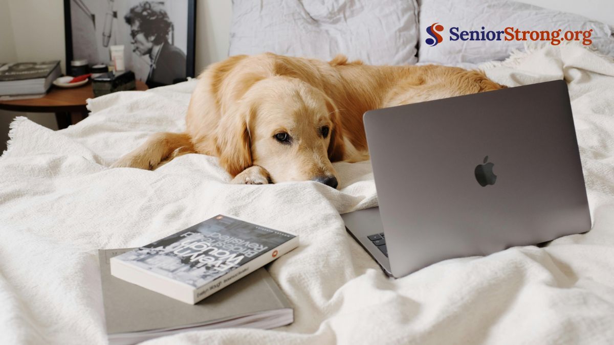 Evaluate Pet Amenities in Senior Housing
