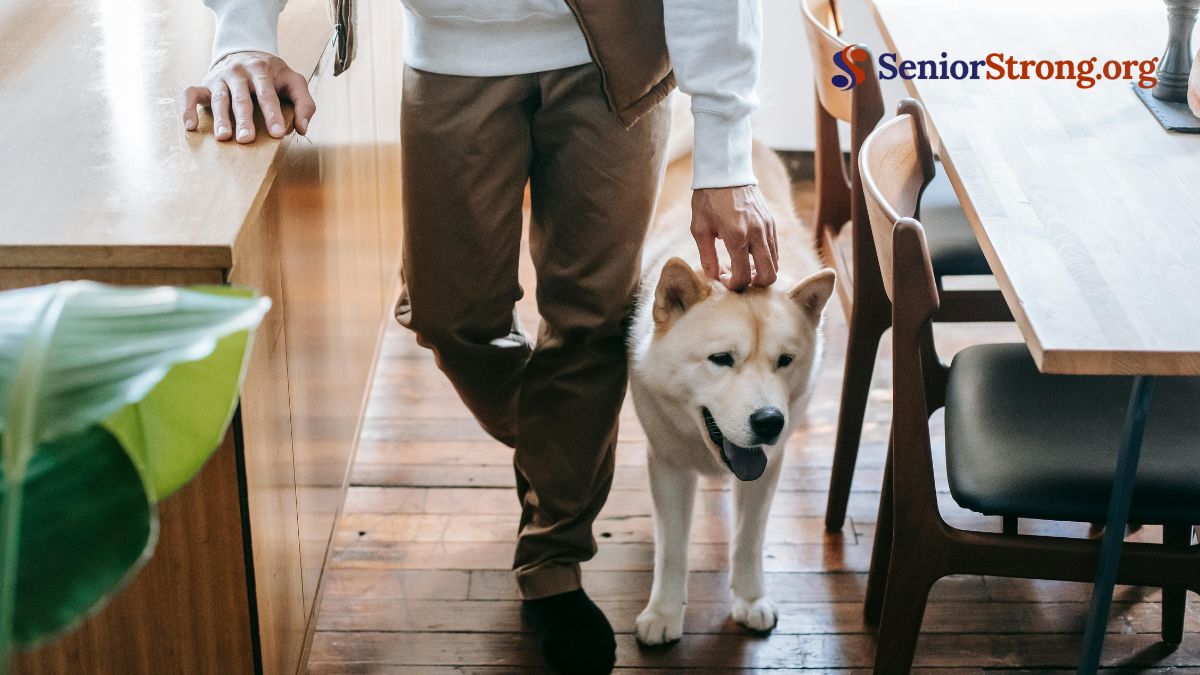 Utilize Online Resources to Find Pet-Friendly Senior Housing