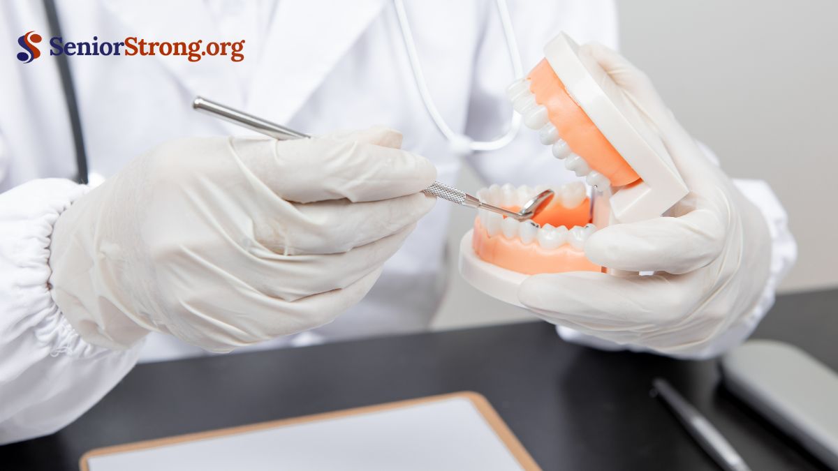 Why Choose Top Dental Insurance for Senior 65+