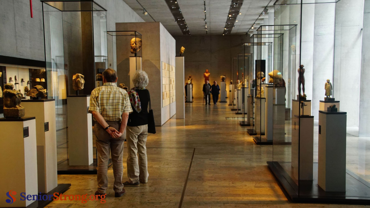Explore Local Museums and Exhibits