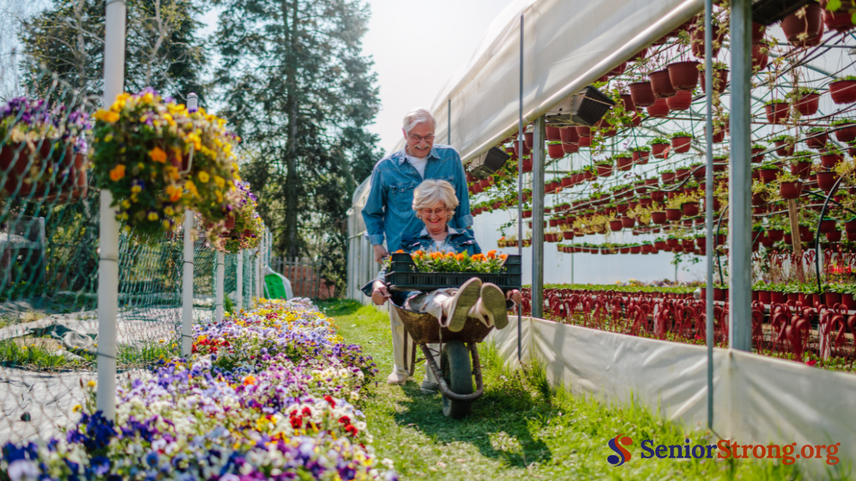 Gardening and Outdoor Enjoyment