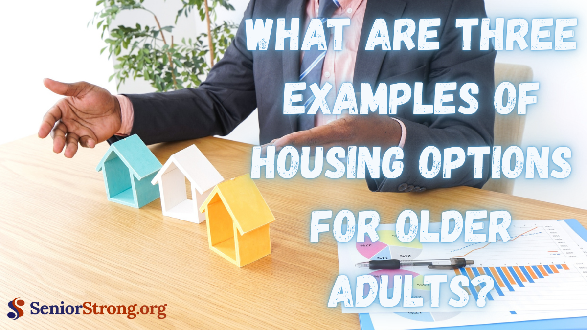 What Are Three Examples of Housing Options for Older Adults?